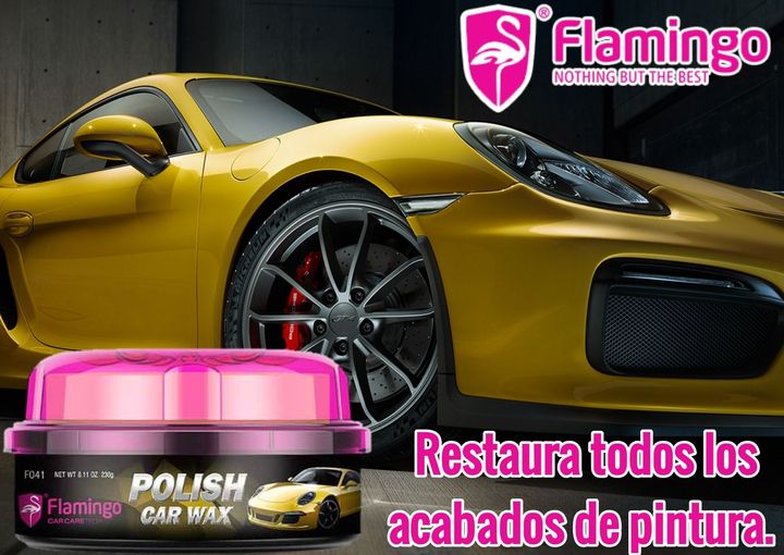 Formula 1 Carnauba - Pasta de cera de coche de alto brillo – Cera de  carnauba para detalles de automóviles para brillar y proteger – Removedor  de
